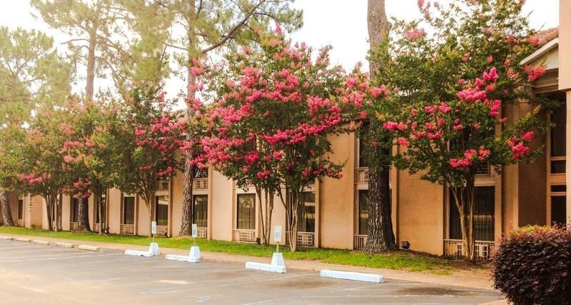 Regency Hotel & Conference Center Jackson Bagian luar foto